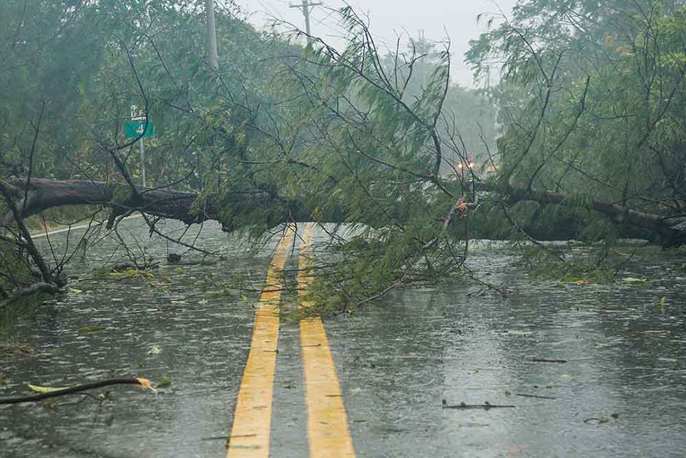 Connectivity Down: Severe Weather